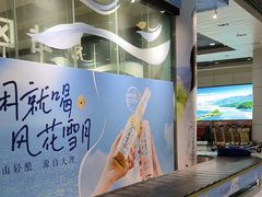 -丽江三义国际机场