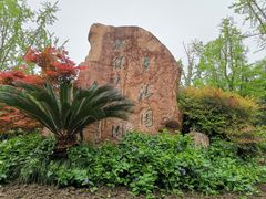 -苏州河梦清园环保主题公园