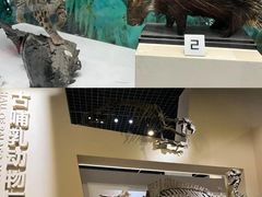 -国家自然博物馆