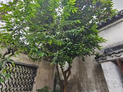 -绮园景区