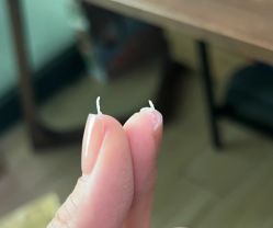 -JX今喜美甲美睫