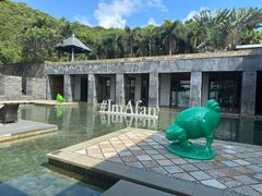 -日落吧·海景咖啡厅·餐酒吧·鸡尾酒·下午茶·乐队表演·浪漫夕阳·三亚文华东方酒店