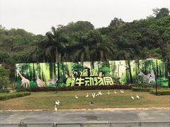 -深圳野生动物园