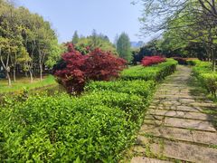 -绍兴镜湖国家城市湿地公园