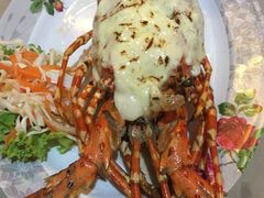 -Red Lobster
