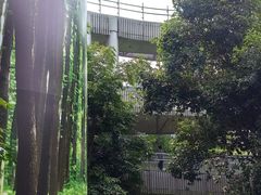 -福道