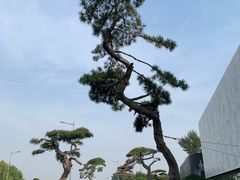 -罗红摄影艺术馆