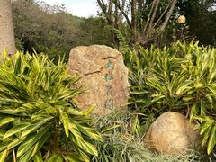 -云溪植物园
