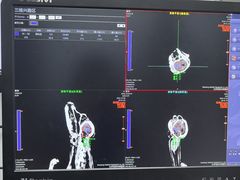 -北京观赏动物医院·24小时大型综合·猫专科·异宠专科