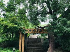-香山公园