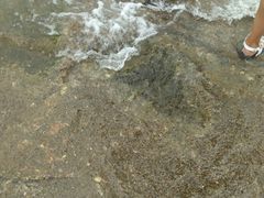 -日照灯塔风景区