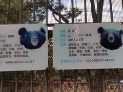 -昆明动物园