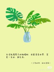 -Oasis Beauty水磨坊科技美肤中心