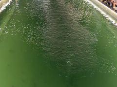 -DGE季风钓虾营地·团建·聚会