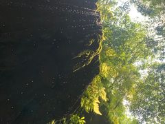 -华蓥山天意谷景区