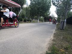 -永定河休闲森林公园