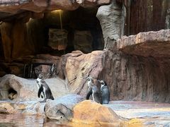 -长鹿旅游休博园