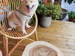 -Fruiffee Cafe 果啡派