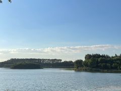 -丁香湖公园