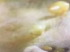 -妈妈传炖品(双林店)