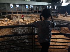 -自贡恐龙博物馆