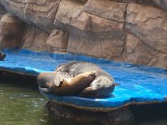 -华夏文旅海洋公园