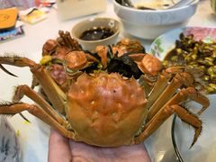 -蟹宝酒楼•农家菜(古城北路店)