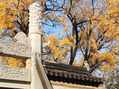 -苏州碑刻博物馆