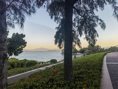 -深圳湾公园(南山区)