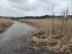 -同里国家湿地公园