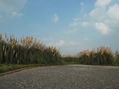 -上海山野camping·户外天幕烧烤·团建拓展营地