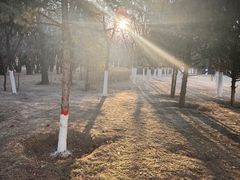 -大召寺明清一条街