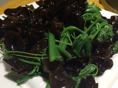 -素虎小呆鸟(西二旗店)