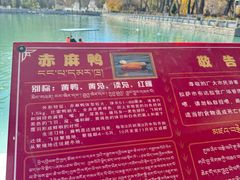 -宗角禄康公园