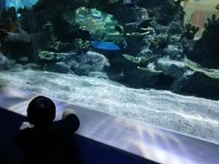 -常州海昌海洋探索馆