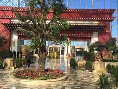 -拉萨圣地天堂洲际大饭店-自助餐厅