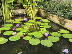 -国家植物园南园