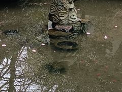 -杭州黄龙洞