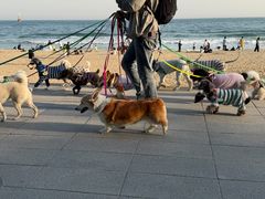 -海云台海滩