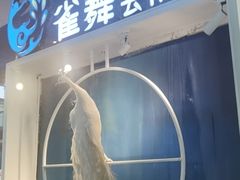 -雀舞云南菜(乐客城店)