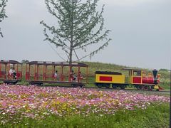 -径山花海