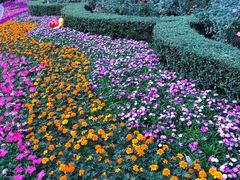 -人民公园(罗湖区)