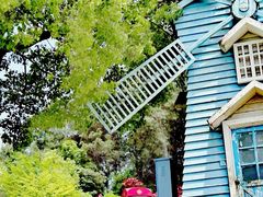 -铁山坪森林公园