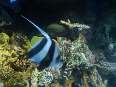 -成都浩海立方海洋公园