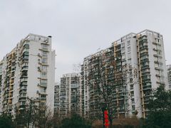 -新江花园