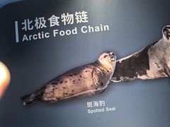 -上海海洋水族馆