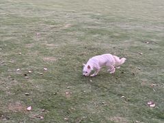 -上海交通大学(闵行校区)