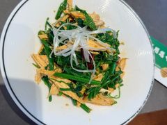 凉拌丝瓜尖-黑窑厂糖油饼烤鸭·清真菜(黑窑厂街店)