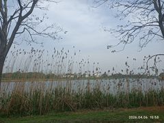 -梁鸿国家湿地公园