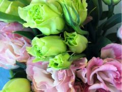 -静岸花卉园艺(三星坊店)